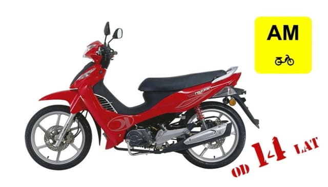 Ile kosztuje kurs prawa jazdy kat. AM: Przegląd ofert szkół jazdy Ile kosztuje kurs prawa jazdy kat. AM: Przegląd ofert szkół jazdy